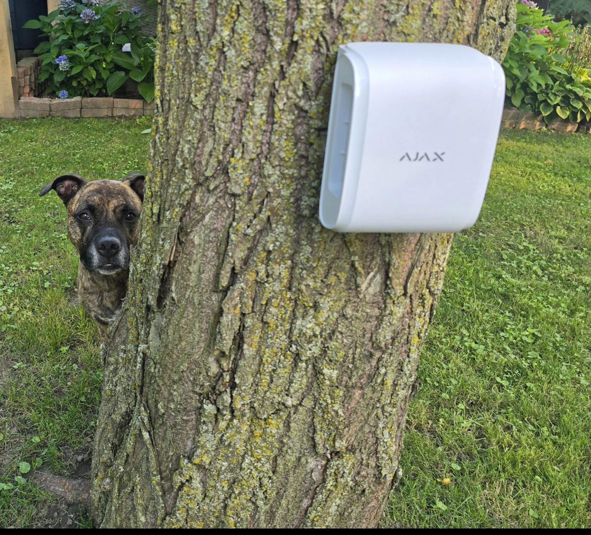 Buitendetectie